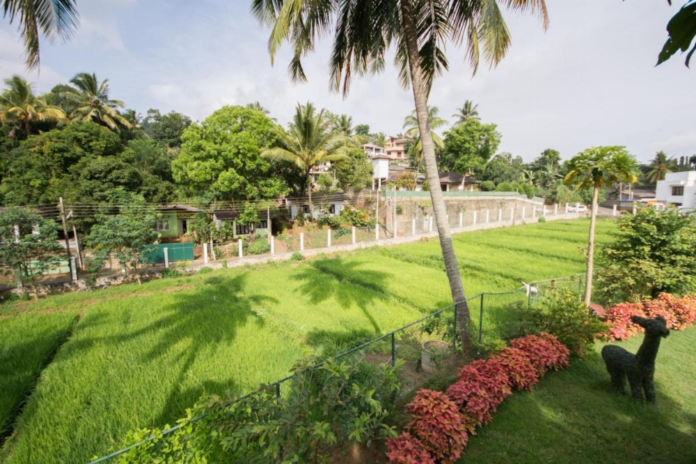 Organic Villa Image 18
