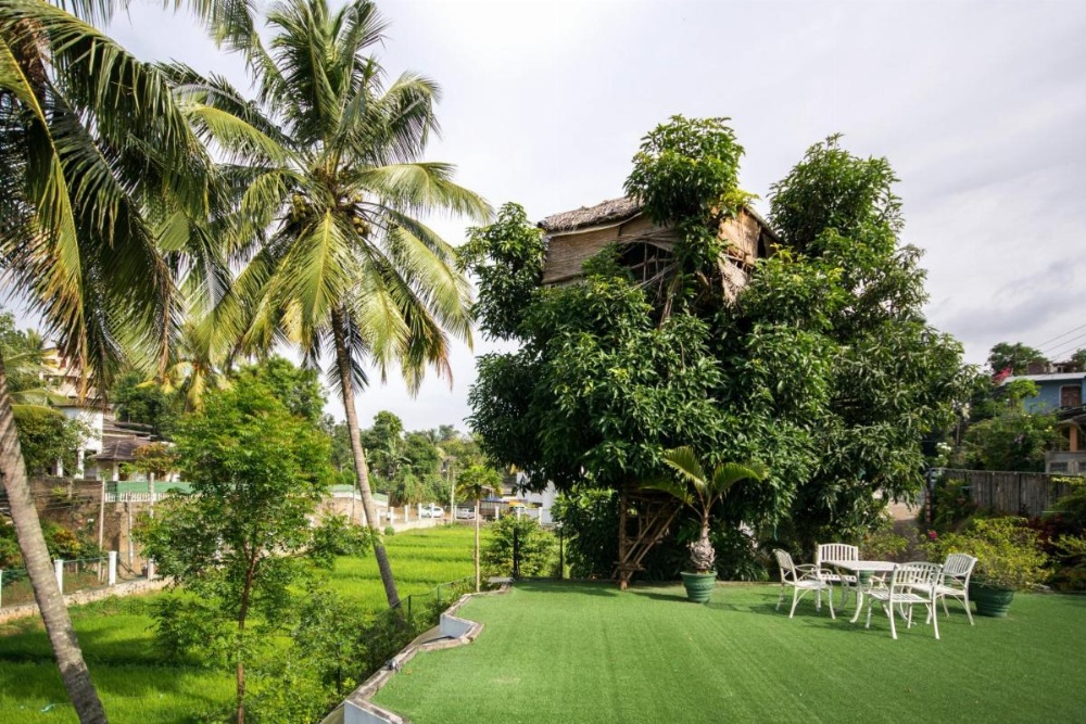 Organic Villa Image 20