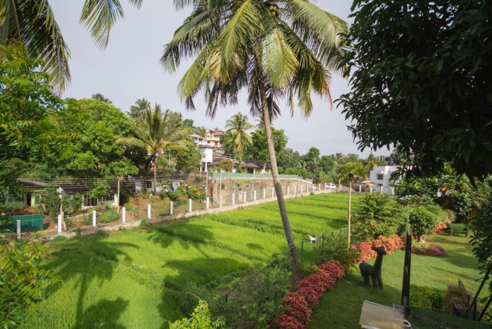 Organic Villa Image 22