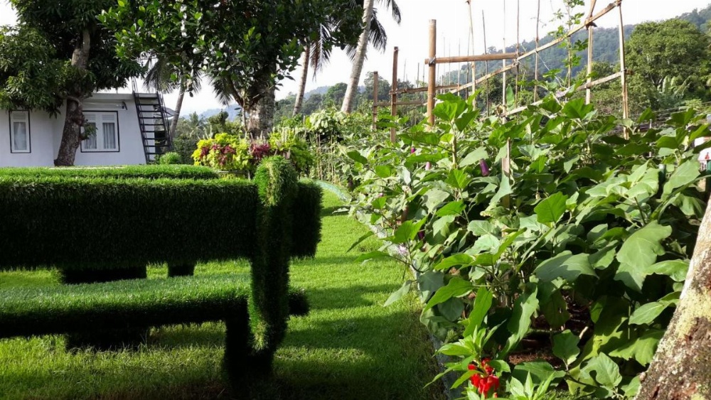 Organic Villa Image 23