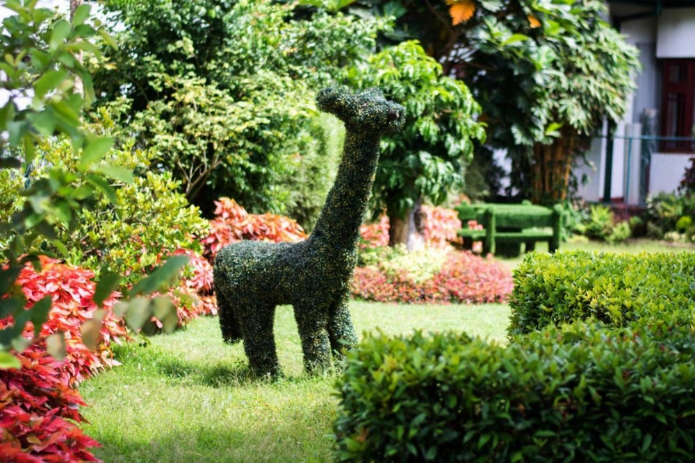 Organic Villa Image 25