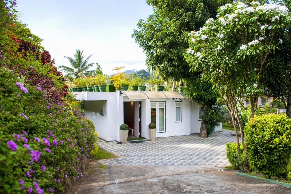 Organic Villa Main image