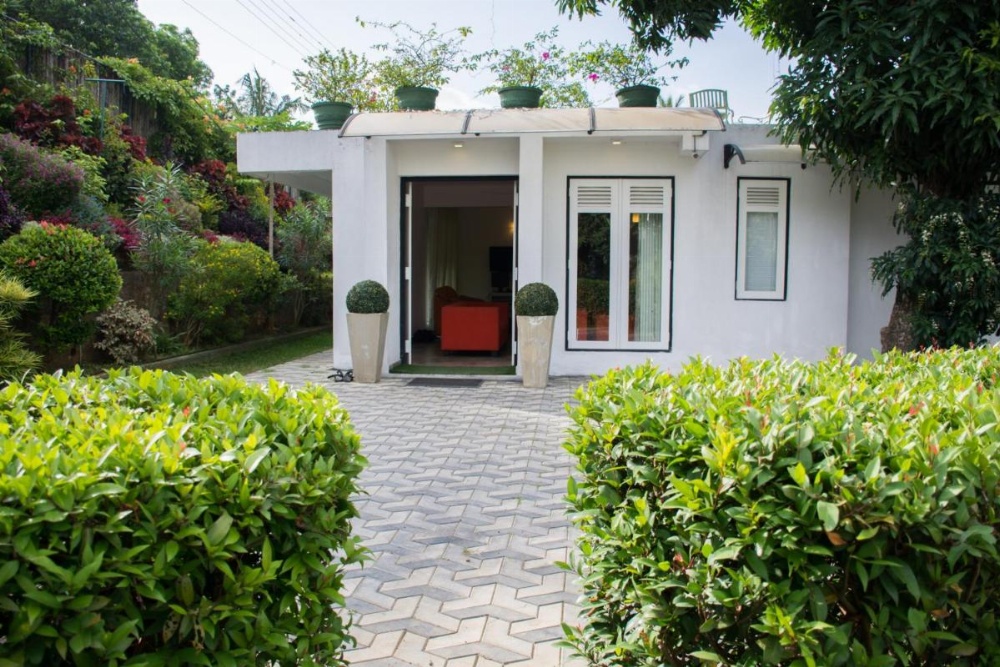 Organic Villa